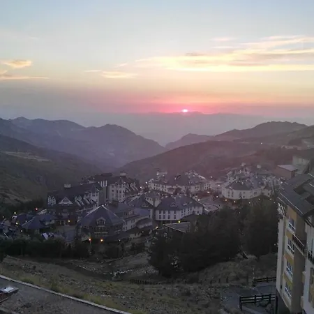 Maribel * Sierra Nevada